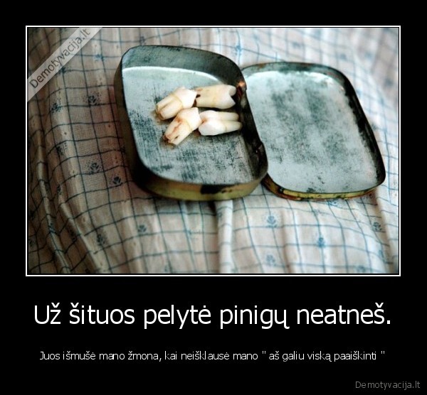 Už šituos pelytė pinigų neatneš.