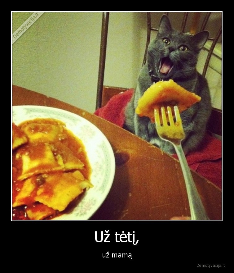 katinas,valgo,maitina,uz, mama,uz, teti