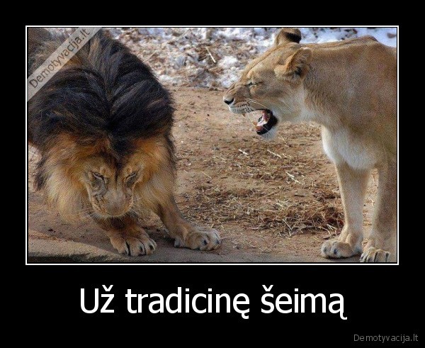 Už tradicinę šeimą