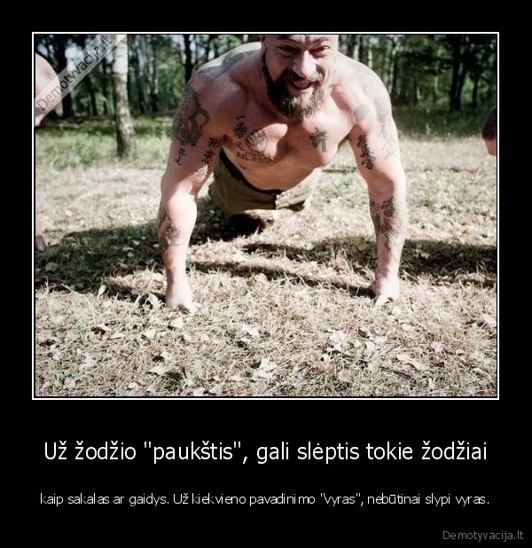 paukstis,gaidys,tikras, vyras