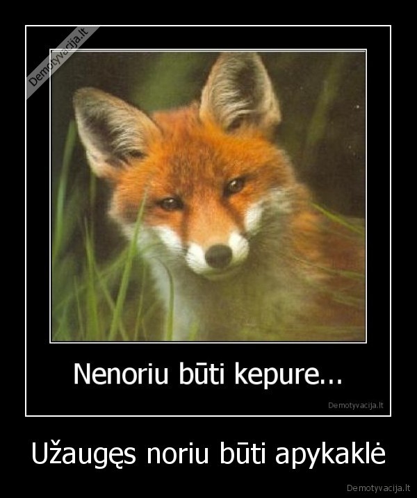 Užaugęs noriu būti apykaklė