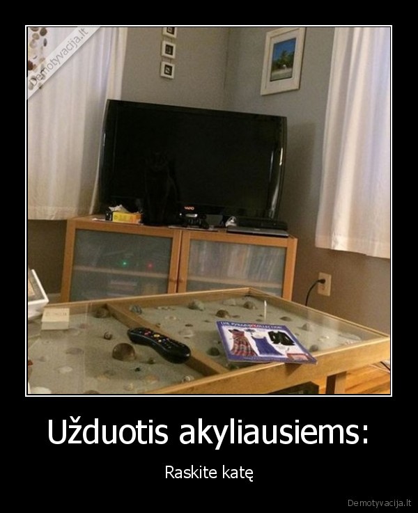 pasislepusi, kate,uzsimaskavusi, kate