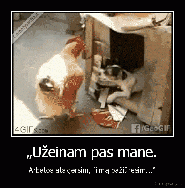 filmas,arbata,namai,mergina,vaikinas,vista,suo