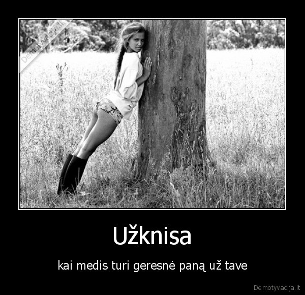 medziai, axujelina, sias, laikais