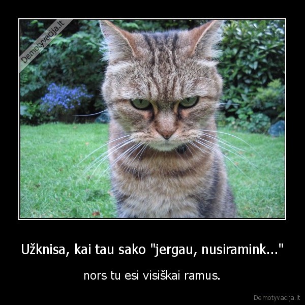 Užknisa, kai tau sako &quot;jergau, nusiramink...&quot;