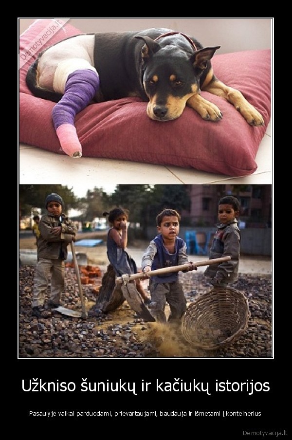 vaikai,suniukai,kaciukai