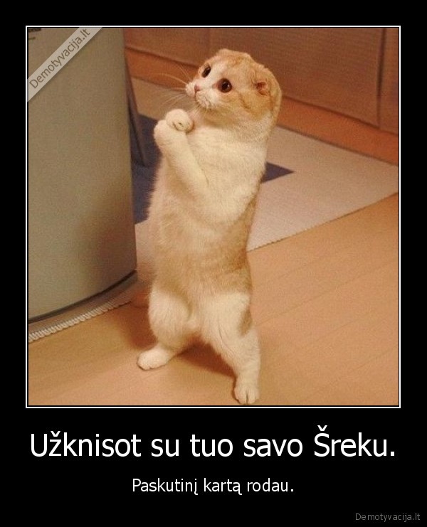 Užknisot su tuo savo Šreku.