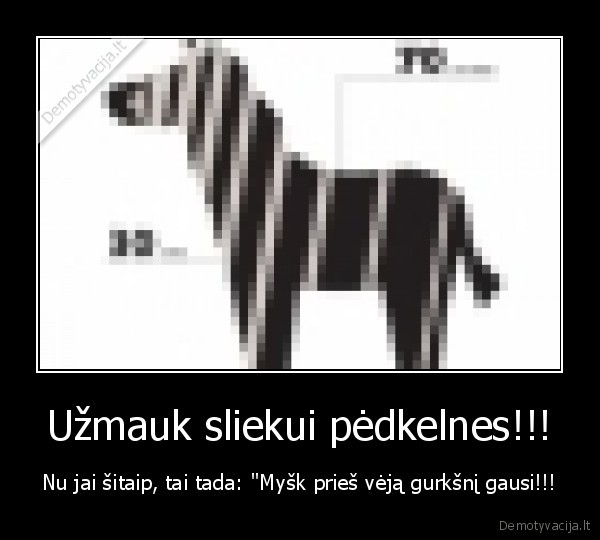 Užmauk sliekui pėdkelnes!!!