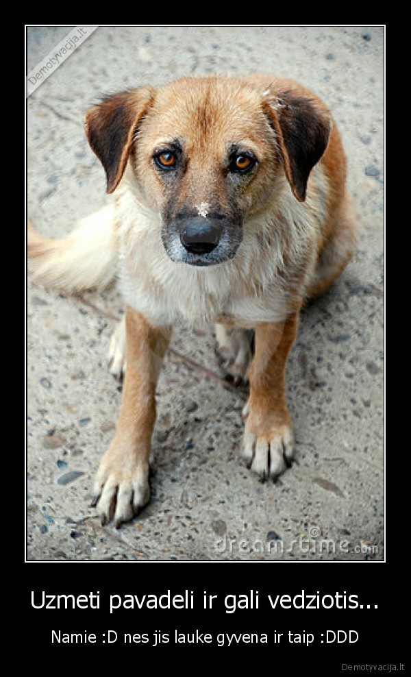 zmogus, gyvenimas, pasaulis