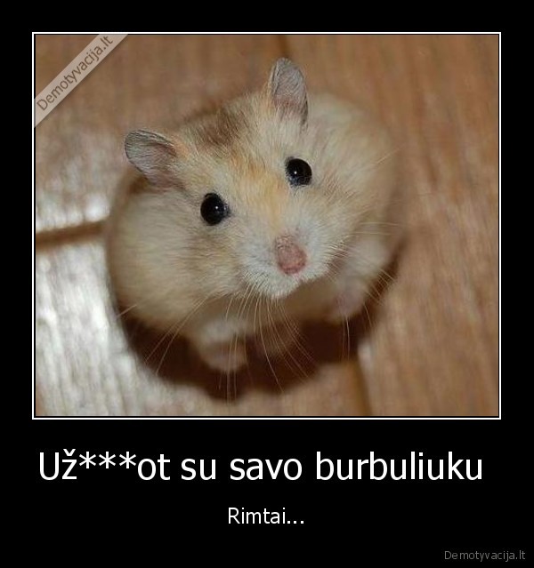 negi,negali,nustot,mane,maigyt,kaip,pliusini,zaisla