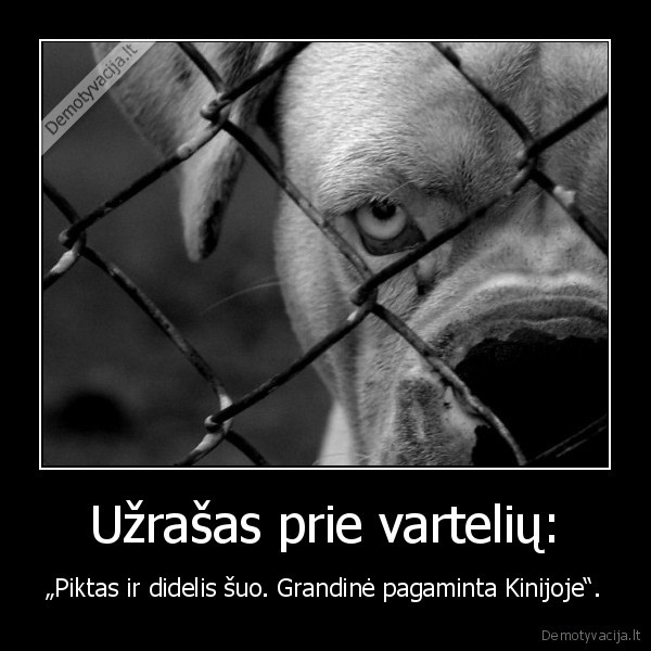 piktas, suo,anekdotas