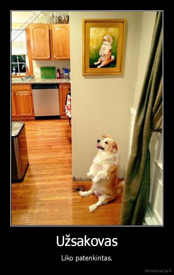 suo,paveikslas,patenkintas