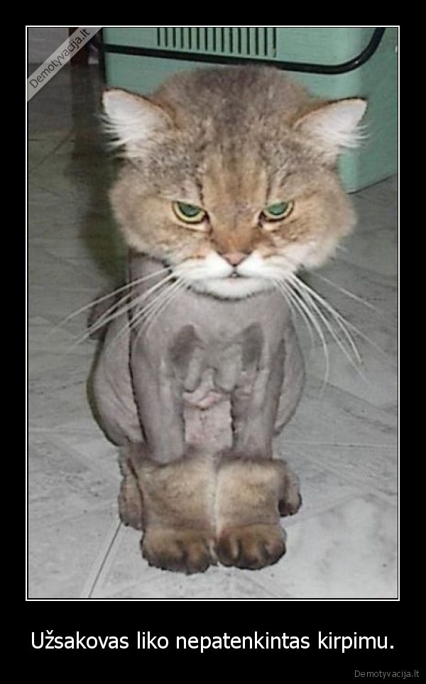 Užsakovas liko nepatenkintas kirpimu.