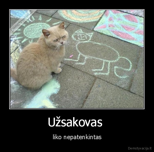 uzsakovas, katinas,liko, nepatenkintas