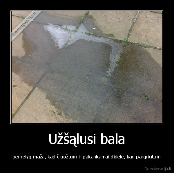 Užšąlusi bala