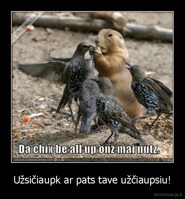 Užsičiaupk ar pats tave užčiaupsiu!