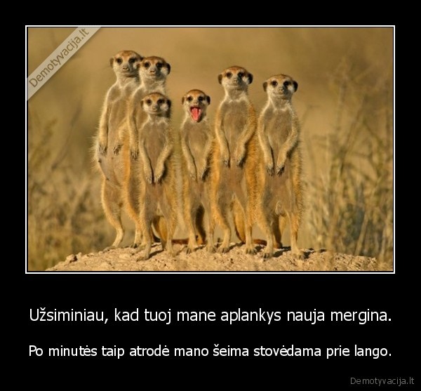 Užsiminiau, kad tuoj mane aplankys nauja mergina.