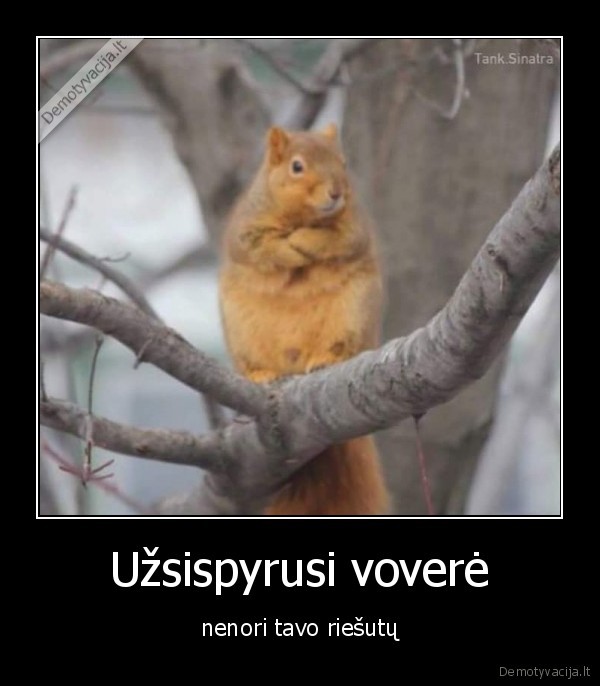 vovere,uzsispyrimas,riesutai