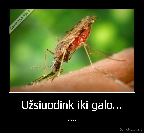 debilai, tie, uodai, uzpisa, kanda, visur