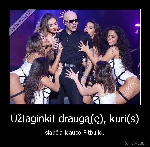 pitbulis,draugas,drauge,mr, worldwisde