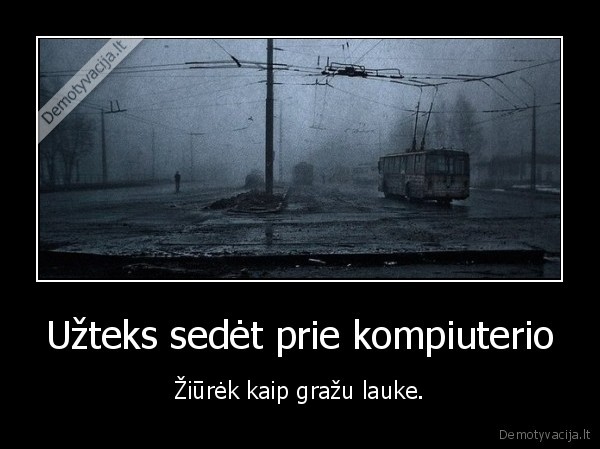 laukas,grazu,prie, kompiutrio