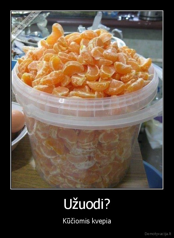 kucios,mandarinai,daug, mandarinu,mandarinu, skilteles