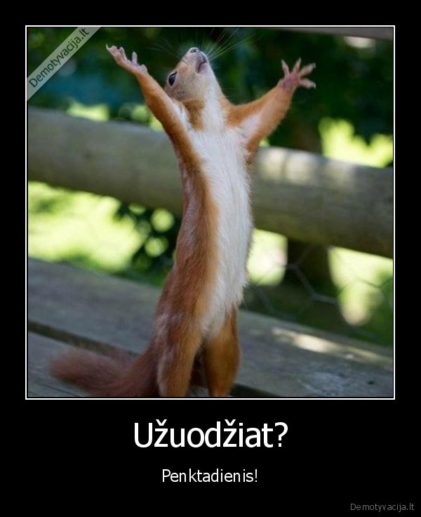 kvepia, penktadieniu,juokinga, vovere