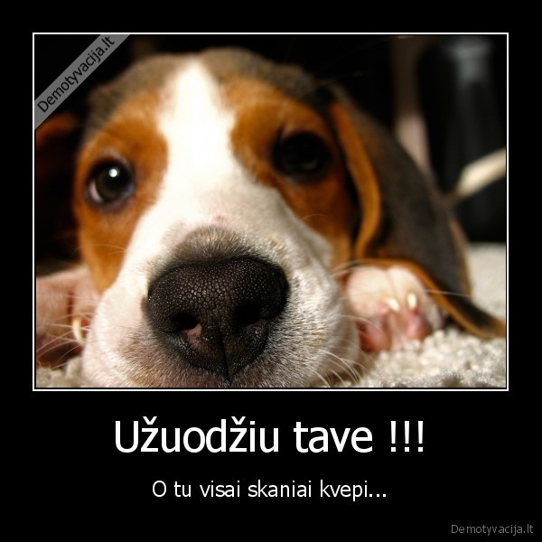 Užuodžiu tave !!!