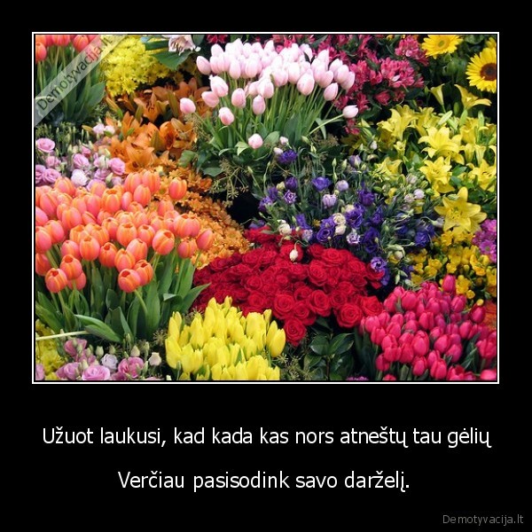 Užuot laukusi, kad kada kas nors atneštų tau gėlių