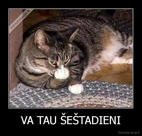 sestadienis,fuck, you