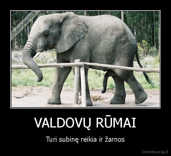 VALDOVŲ RŪMAI