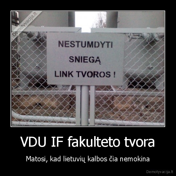 studentai,vdu,tvora,uzrasas,kalba,if