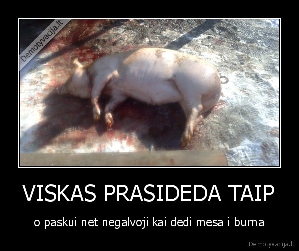 VISKAS PRASIDEDA TAIP