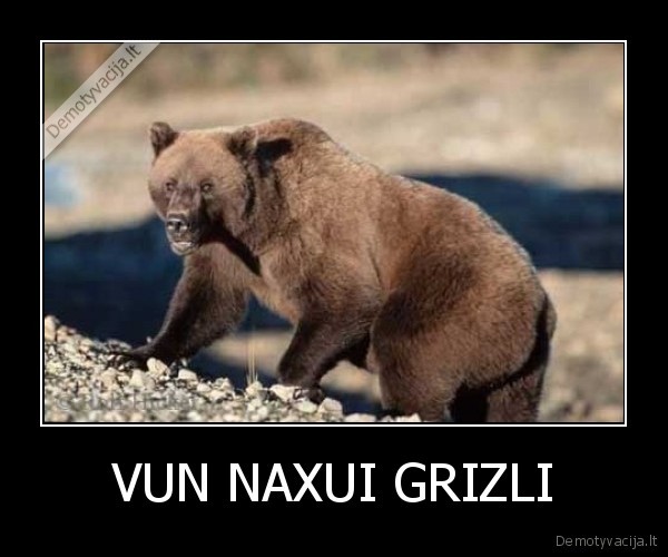 VUN NAXUI GRIZLI