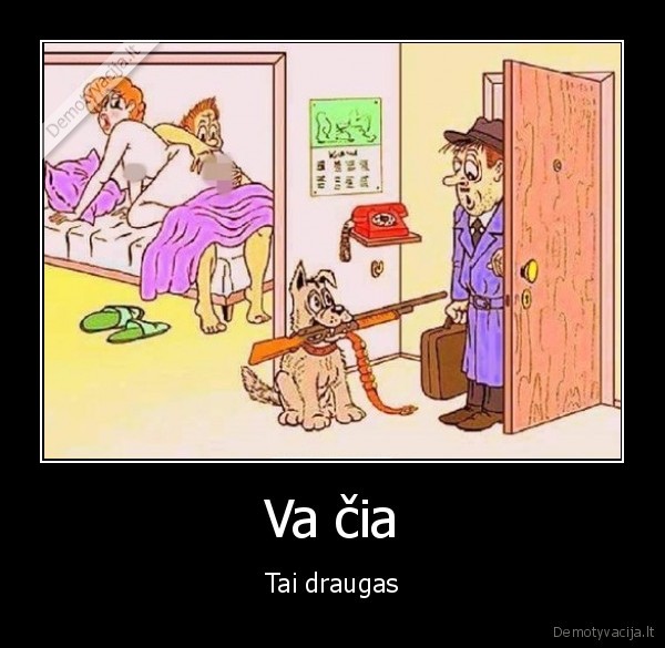 geriausias, vyro, draugas,istikimas, suo