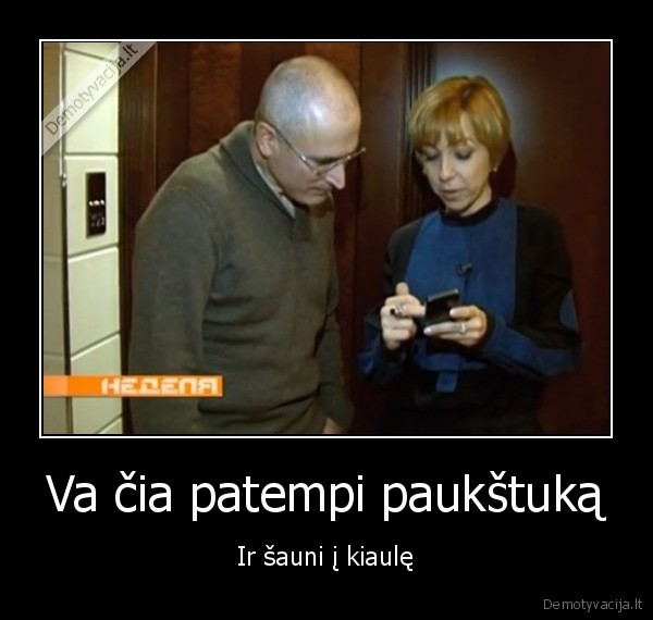 angry, birds,chodorkovskis