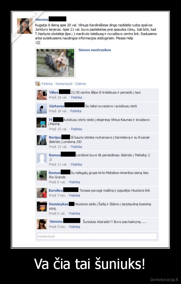 trololozaurai, atakuoja, sudaknyge