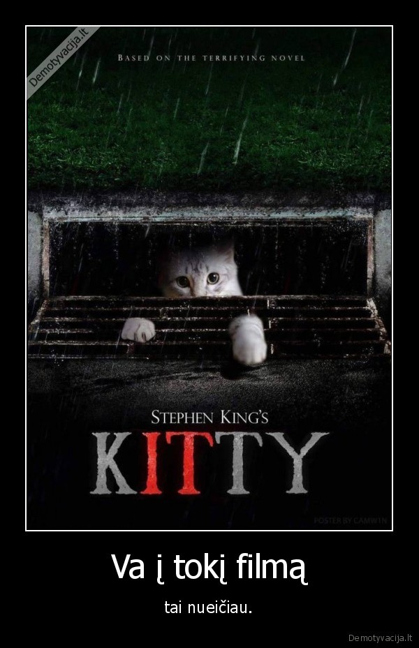 katinas,kate,stivenas, kingas