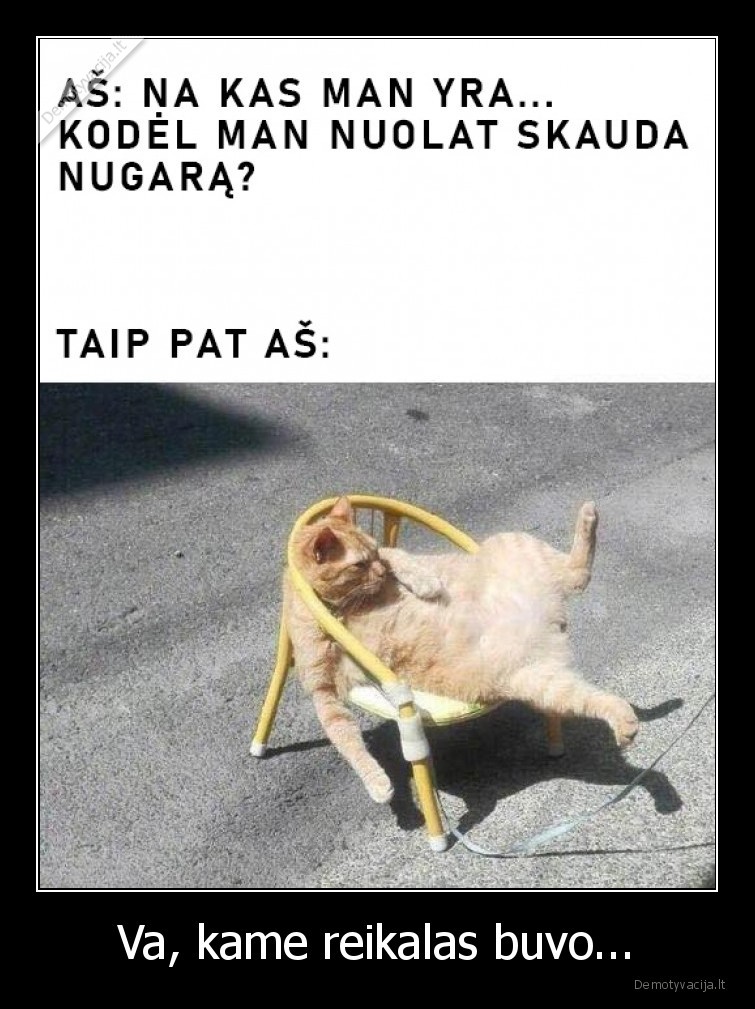 nugara,skauda,sedi,katinas