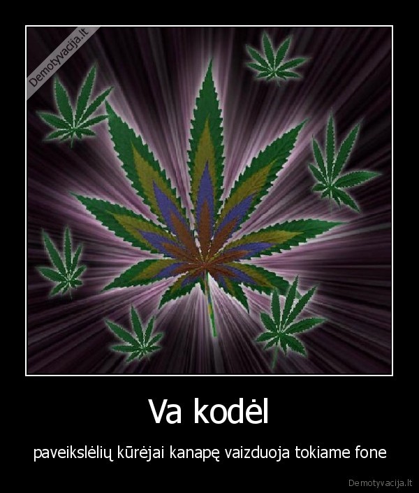 prisiruke,apsinese, ir, sukure, foto