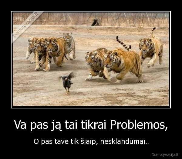 Va pas ją tai tikrai Problemos,