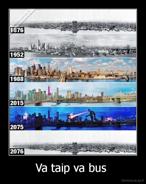 Va taip va bus 