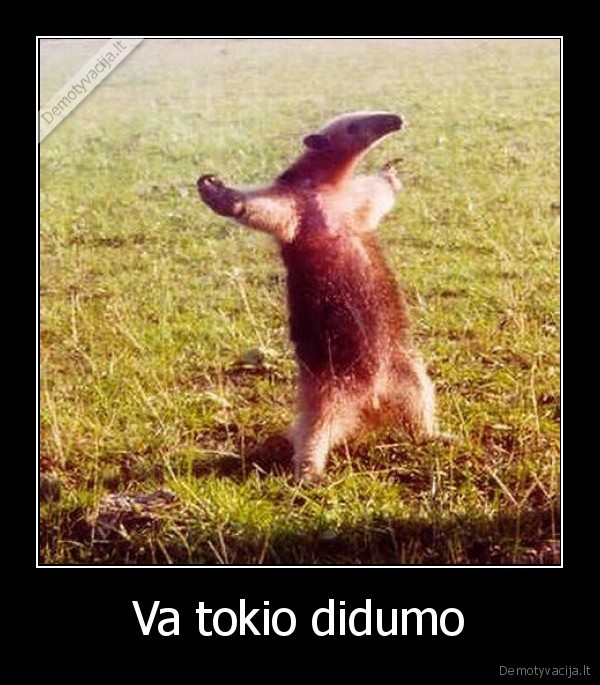 Va tokio didumo