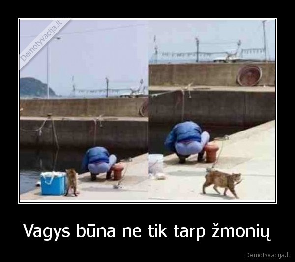 Vagys būna ne tik tarp žmonių