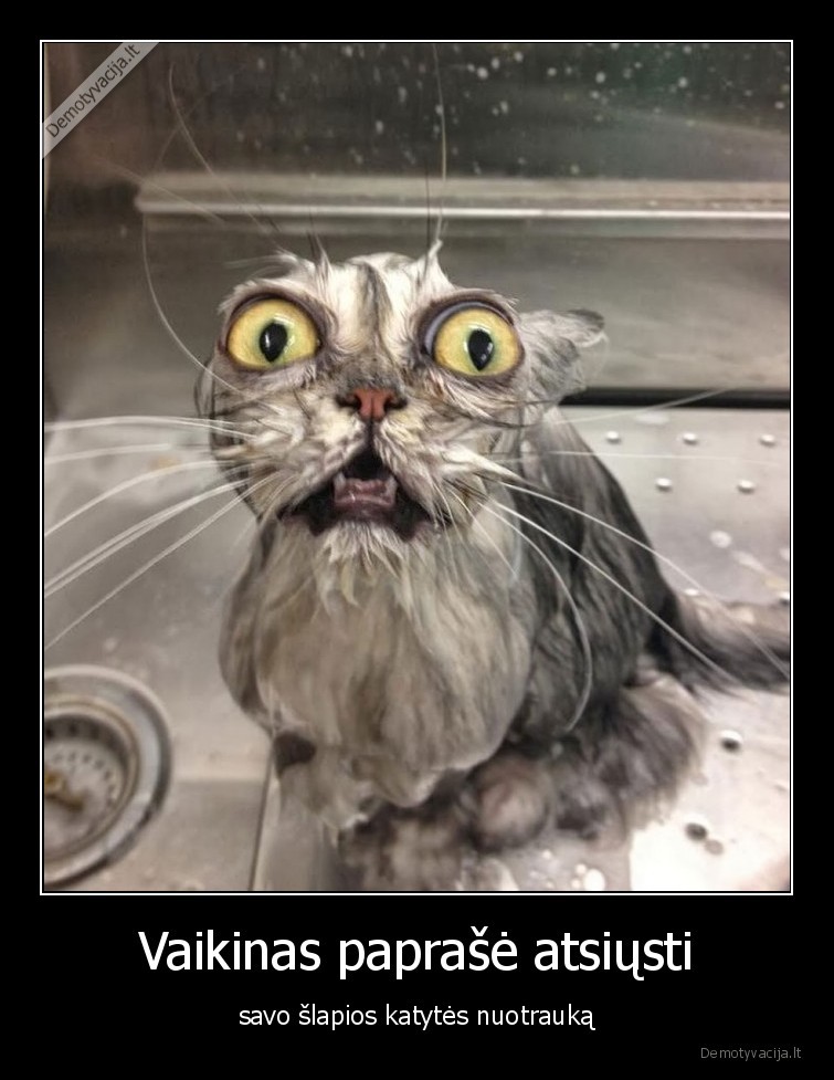 slapi,katyte,nuotrauka,vaikinas,mergina,santykiai,nuotrauka