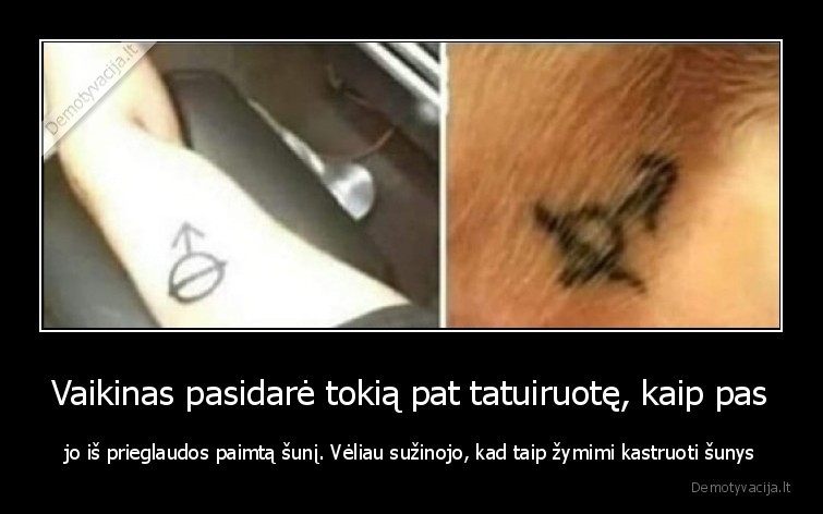 kastruotas,suo,vaikinas,protas,tatuiruote