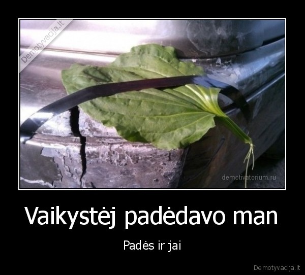 trauklapis,gydo, zaizdas,bamperis, sulauzytas