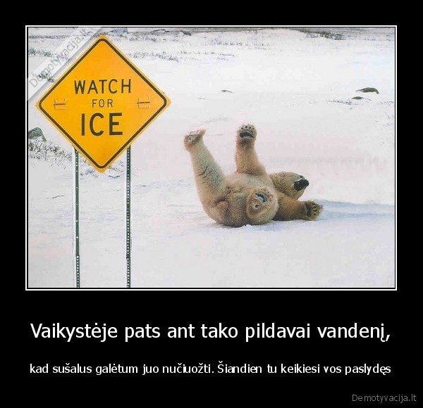 lokys,ledas,meska,sniegas,ziema,paslydimas