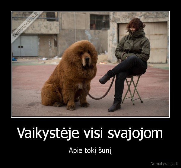 suo, vaikyste, gyvunas, svajones