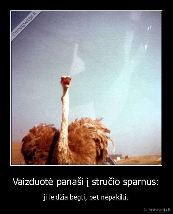 Vaizduotė panaši į stručio sparnus: